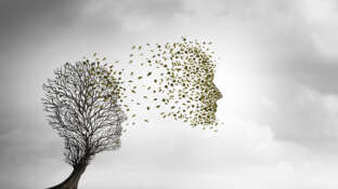 Kan men zelfmoord voorkomen? 