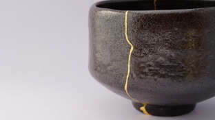 Omgaan met imperfectie, tekort en machteloosheid voor jonge artsen, dierenartsen en apothekers